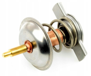 Termostat Deutz /org/