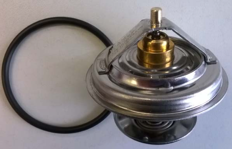 Termostat Case, Steyr