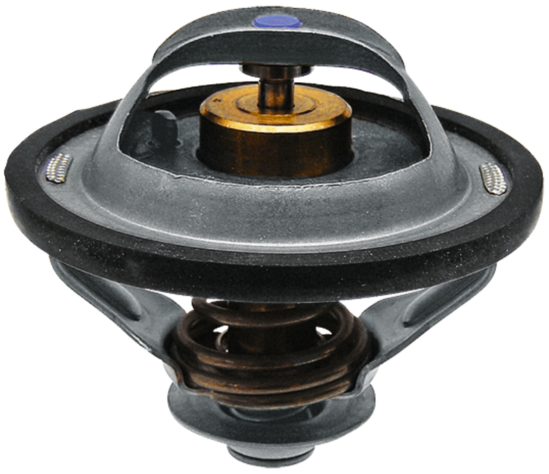 Termostat Case, New Holland, Steyr