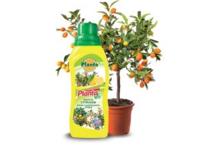Nawóz do cytrusów Vit-11 0,25l. Planta