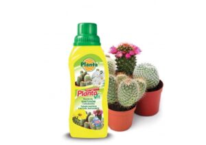 Nawóz do kaktusów Vit-12 0,25l. Planta