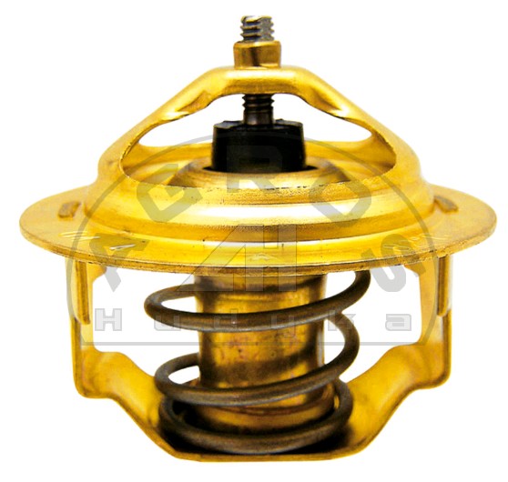 Termostat Deutz