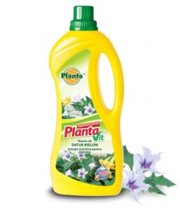Nawóz do datur Vit-5 0,5l. Planta