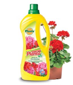 Nawóz do pelargoni Vit-9 1l. Planta