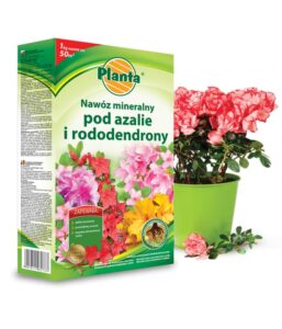 Nawóz azalie i rododendrony 1kg. Planta