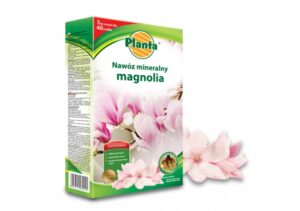 Nawóz do magnolii 1kg. Planta