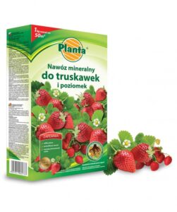 Nawóz do truskawek i poziomek 1kg. Planta