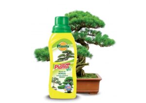 Nawóz do bonsai Vit-13 0,25l. Planta XXX